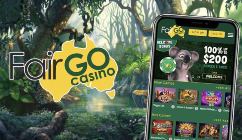 What Are The Best Video Slots For Fair GO players
